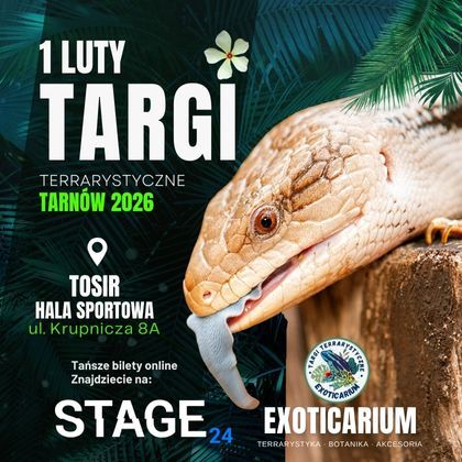 EXOTICARIUM Targi Terrarystyczne TARNÓW | 1.02