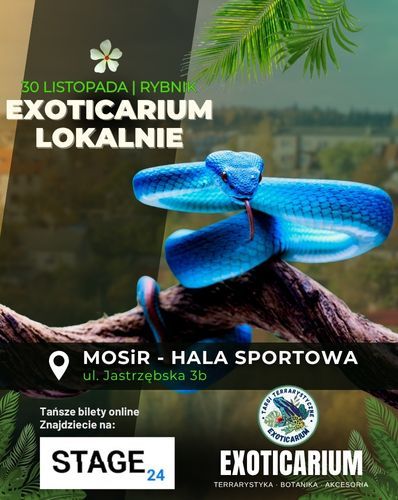 EXOTICARIUM LOKALNIE Targi Terrarystyczne Rybnik | 30.11 Exoticarium 30.11.2025 bilety