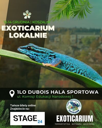 EXOTICARIUM LOKALNIE Targi Terrarystyczne Koszalin | 13-14.12 Exoticarium 13.12.2025 bilety