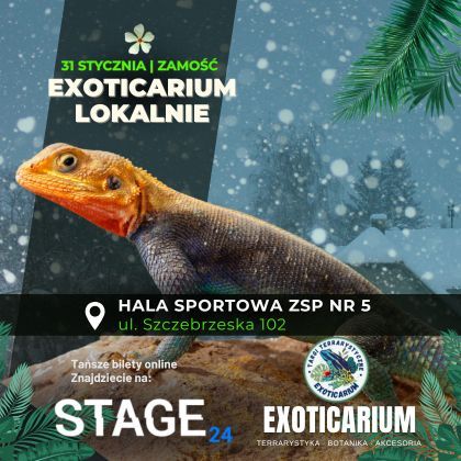 EXOTICARIUM LOKALNIE Targi Terrarystyczne ZAMOŚĆ | 31.01