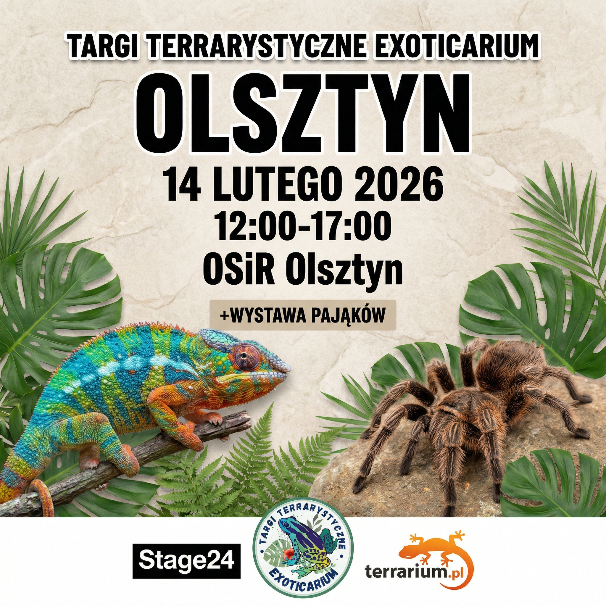 Olsztyn - Targi Terrarystyczne Exoticarium + Wystawa Pająków