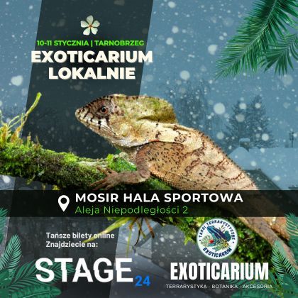 EXOTICARIUM LOKALNIE Targi Terrarystyczne Tarnobrzeg | 10-11.01