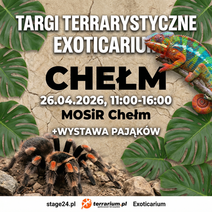 Egzotyczna Niedziela w Chełmie! Targi Terrarystyczne Exoticarium