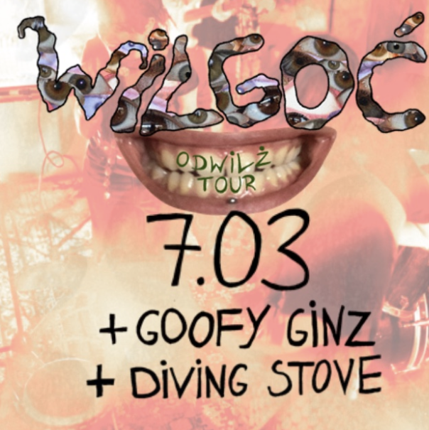 Koncert Wilgoć x Goofy Ginz x Diving Stove