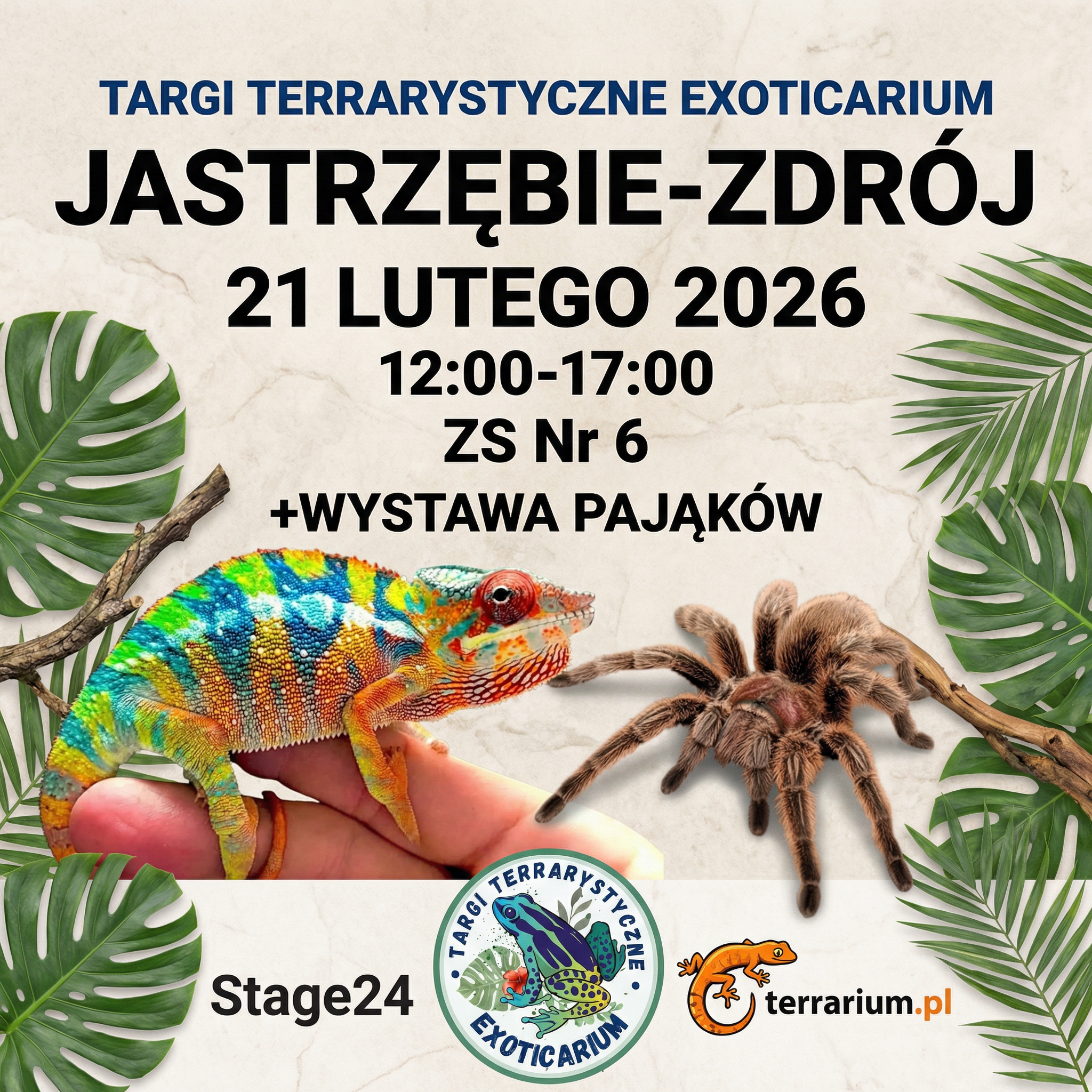 Jastrz.-Zdr.- Targi Terrarystyczne Exoticarium + Wystawa Pająków