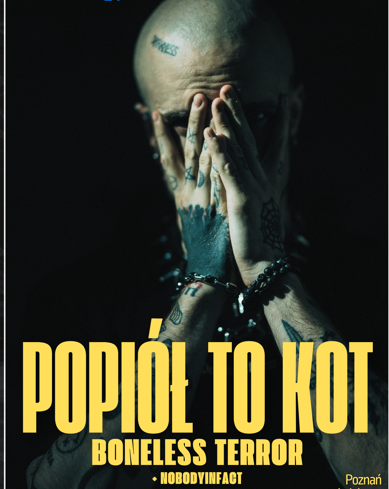 KONCERT : popiół to kot // POZNAŃ  // 08.11.2025r  NOBODYINFACT 08.11.2025 bilety