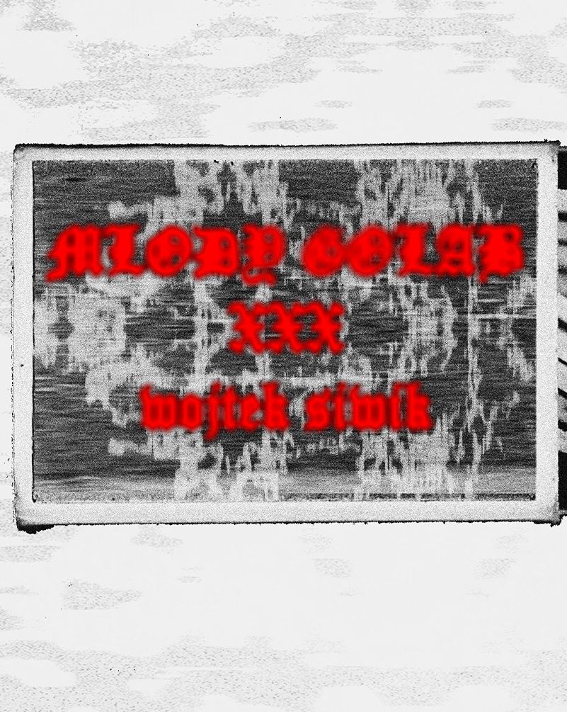 KS poleca: wojtek siwik & MŁODY GOŁĄB w Recepcji młody gołąb 02.12.2025 bilety