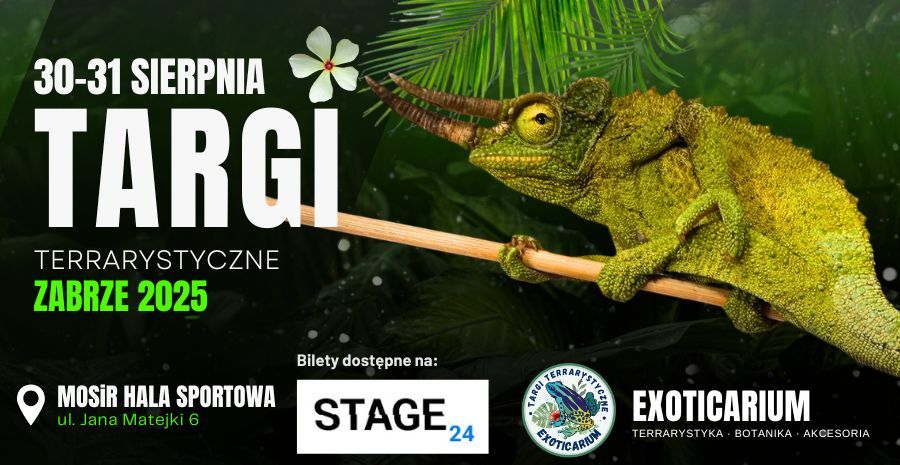 EXOTICARIUM Targi Terrarystyczne Zabrze dwudniowe 30-31 sierpnia 30.08.2025 bilety