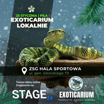 EXOTICARIUM LOKALNIE Targi Terrarystyczne PIŁA | 25.01