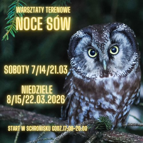 Warsztaty terenowe " Noce Sów" 22.03.2026