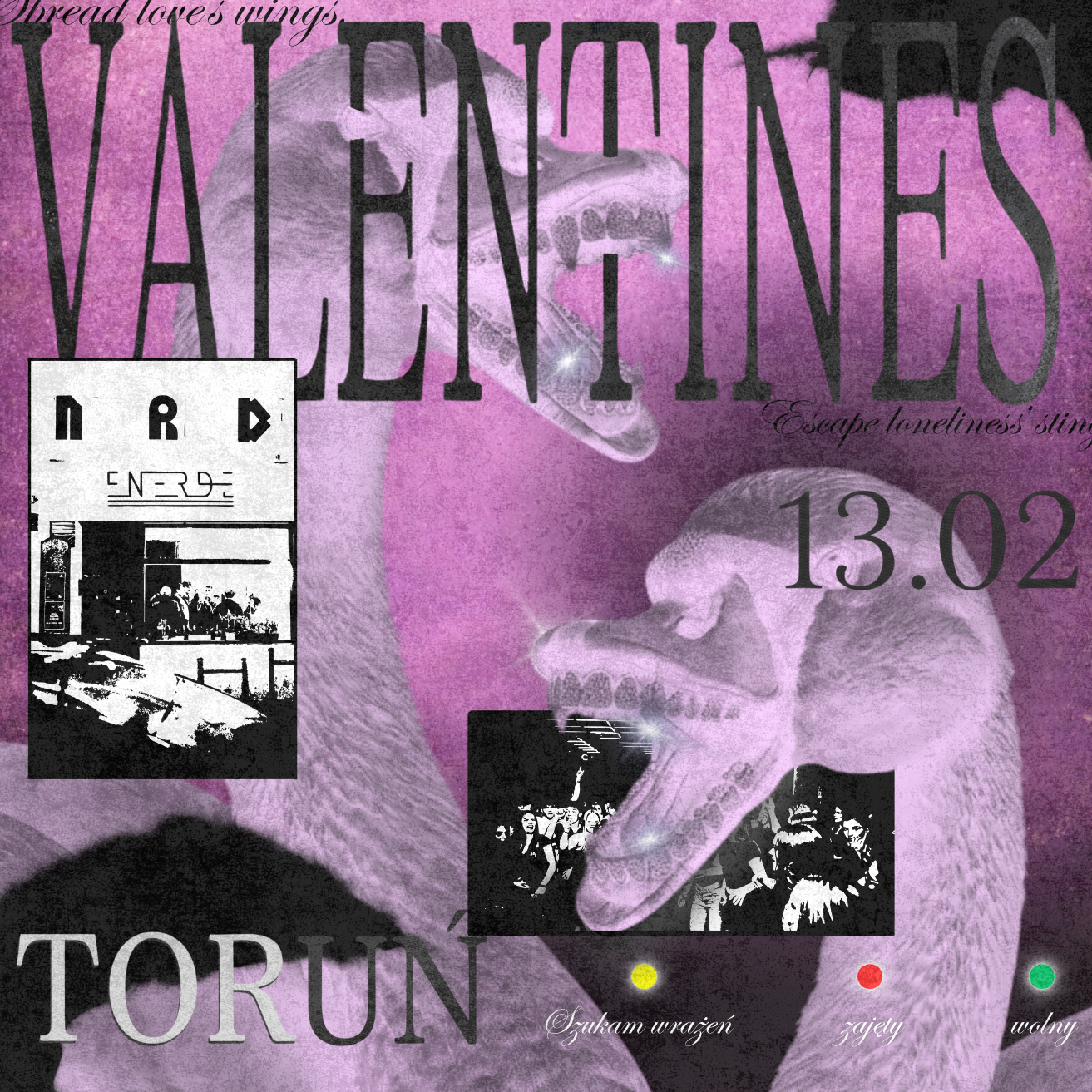 VALENTINES PARTY | TORUŃ | I OGPARTY