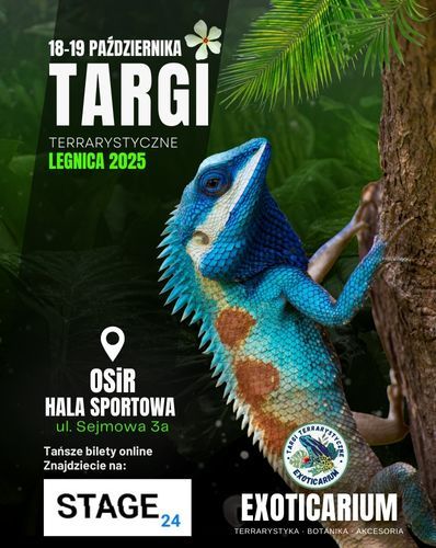 EXOTICARIUM Targi Terrarystyczne Legnica | 18-19 października Exoticarium 18.10.2025 bilety