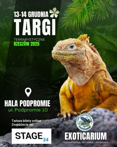  EXOTICARIUM Targi Terrarystyczne Rzeszów | 13-14.12 Exoticarium 13.12.2025 bilety