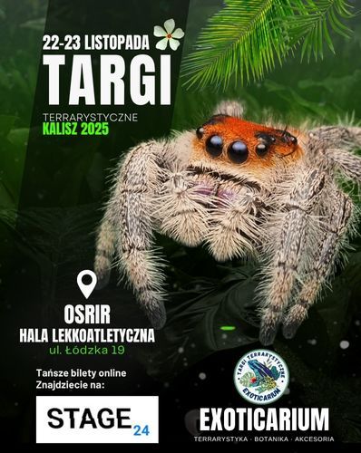  EXOTICARIUM Targi Terrarystyczne Kalisz | 22-23.11 Exoticarium 22.11.2025 bilety
