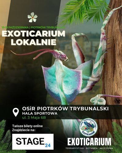 EXOTICARIUM LOKALNIE Targi Terrarystyczne Piotrków | 18-19.10 Exoticarium 18.10.2025 bilety