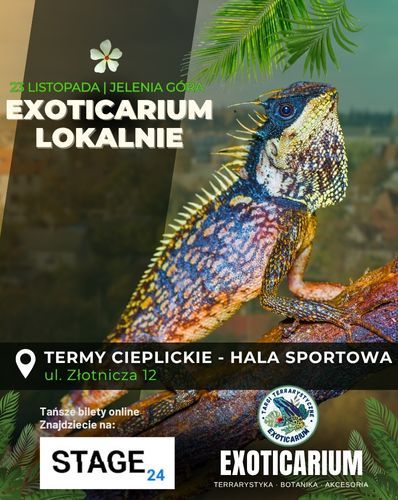 EXOTICARIUM LOKALNIE Targi Terrarystyczne Jelenia Góra | 23.11 Exoticarium 23.11.2025 bilety