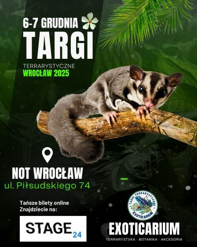 EXOTICARIUM Targi Terrarystyczne Wrocław | 6-7.12 Exoticarium 06.12.2025 bilety