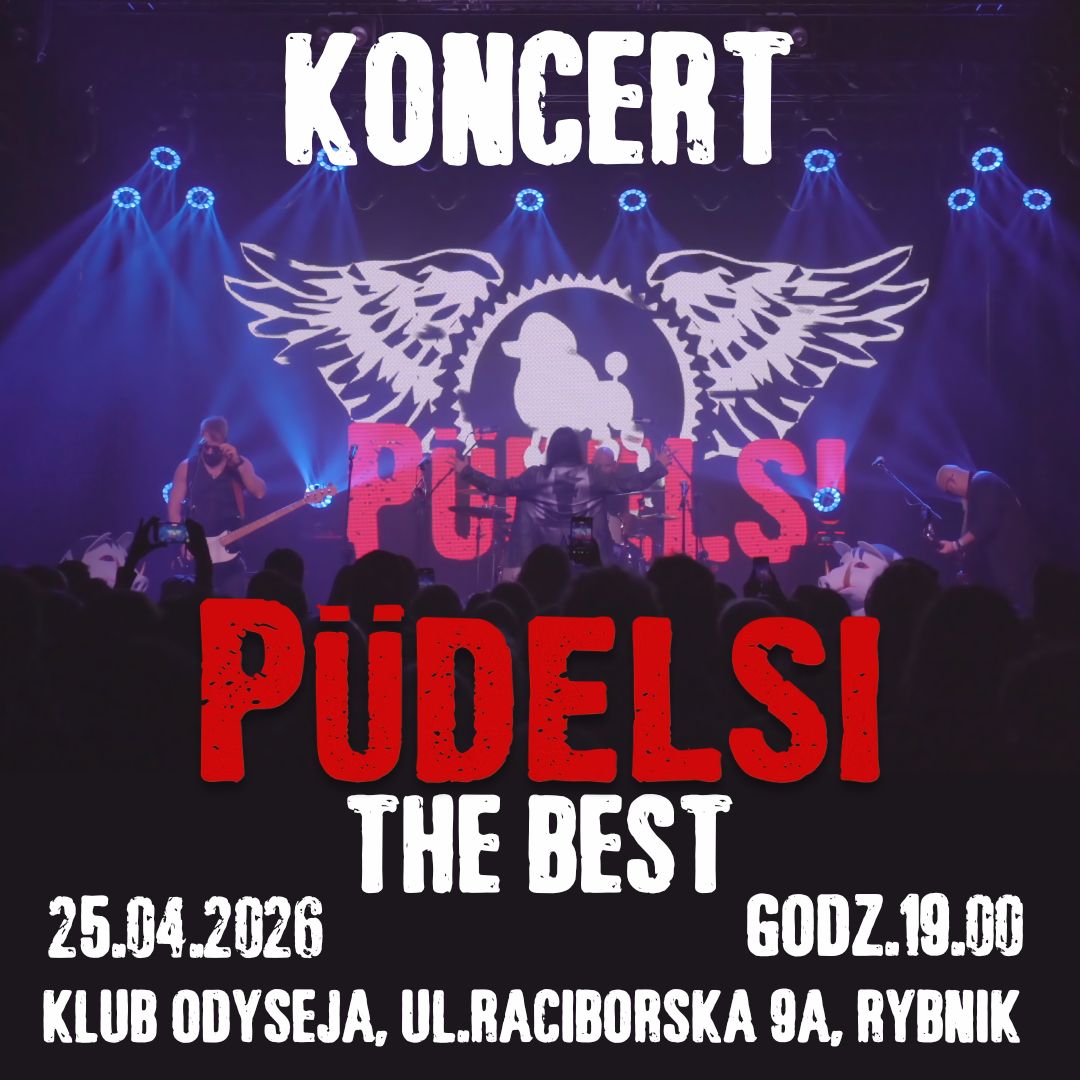Koncert zespołu PUDELSI
