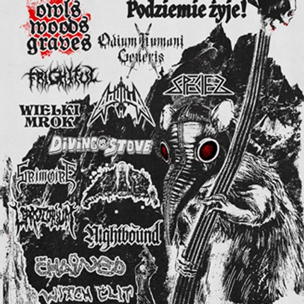 ATAK SZCZURÓW IV