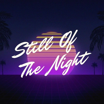 Still Of The Night - 80s Rock Live Show | Zaścianek