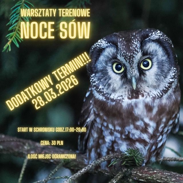 DODATKOWY TERMIN Warsztaty terenowe " Noce Sów" 28.03.2026