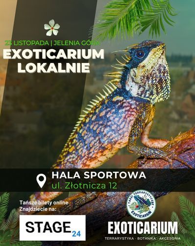 EXOTICARIUM LOKALNIE Targi Terrarystyczne Jelenia Góra | 23.11 Exoticarium 23.11.2025 bilety