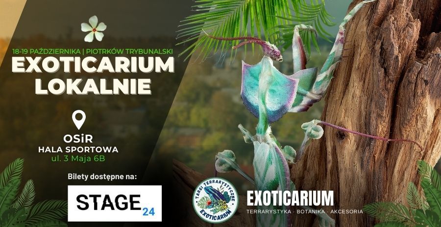 EXOTICARIUM LOKALNIE Targi Terrarystyczne Piotrków | 18-19.10 18.10.2025 bilety