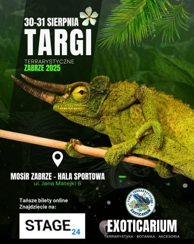 EXOTICARIUM Targi Terrarystyczne Zabrze dwudniowe 30-31 sierpnia  30.08.2025 bilety