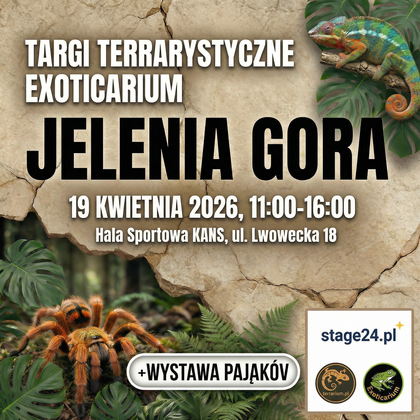 Exoticarium w Jeleniej Górze! + Wystawa Pająków