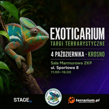 Exoticarium | KROSNO | Wystawa pająków