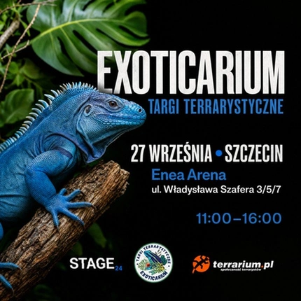 Exoticarium | SZCZECIN | Wystawa pająków
