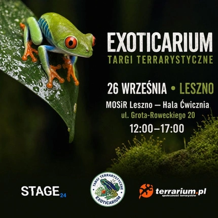 Exoticarium | LESZNO | Wystawa pająków