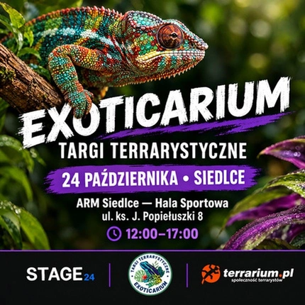Exoticarium | SIEDLCE | Wystawa pająków