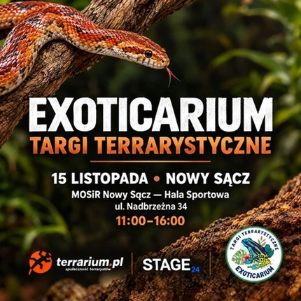 Exoticarium | NOWY SĄCZ | Wystawa pająków