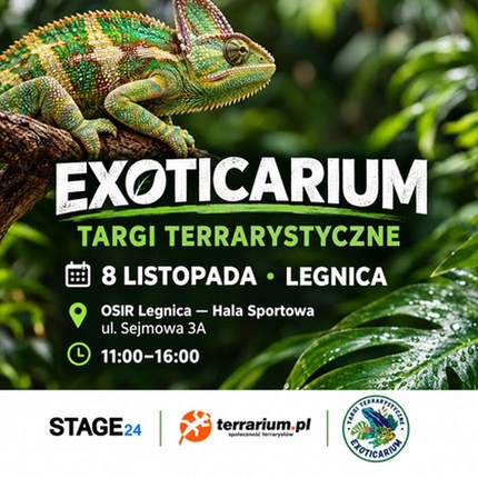 Exoticarium | LEGNICA | Wystawa pająków