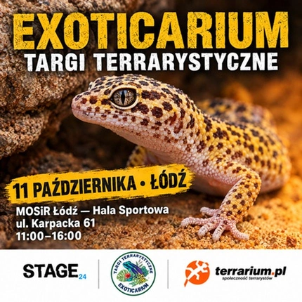 Exoticarium | ŁÓDŹ | Wystawa pająków