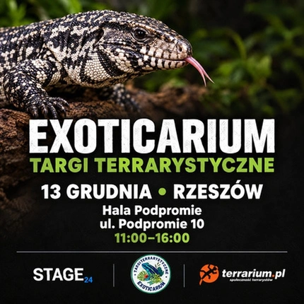 Exoticarium | RZESZÓW | Wystawa pająków