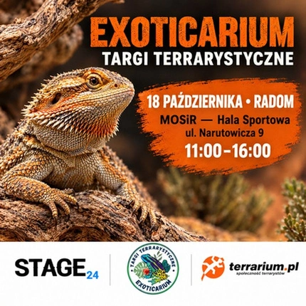 Exoticarium | RADOM | Wystawa pająków