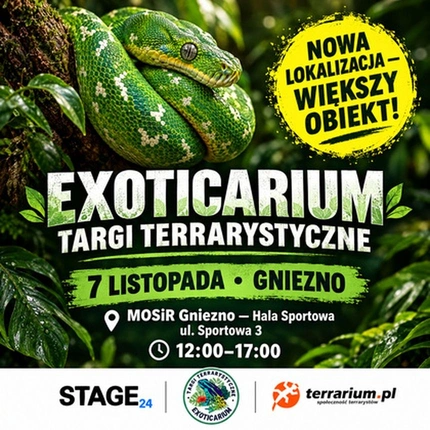 Exoticarium | GNIEZNO | Wystawa pająków