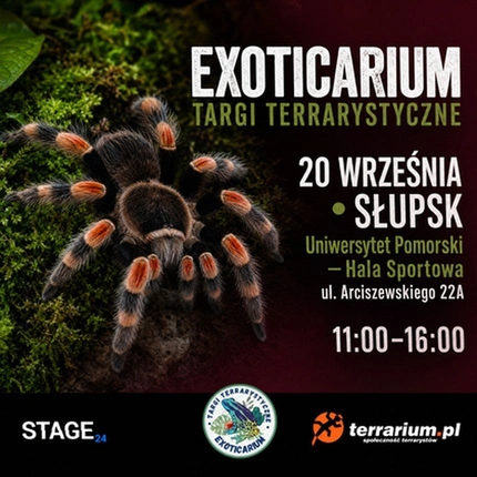 Exoticarium | SŁUPSK | Wystawa pająków
