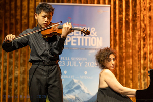 Violin