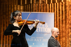Violin