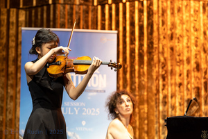 Violin