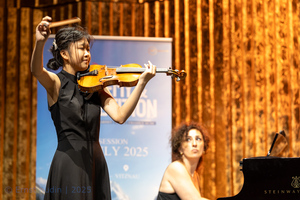 Violin