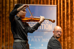 Violin