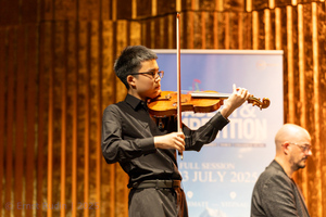 Violin