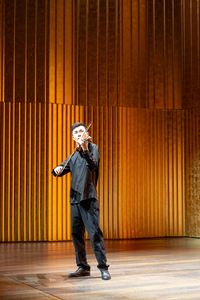 Violin