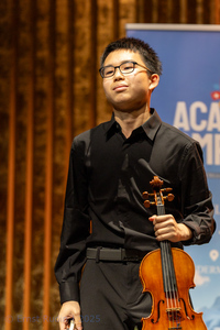 Violin