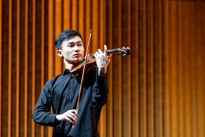 Violin