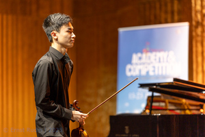 Violin